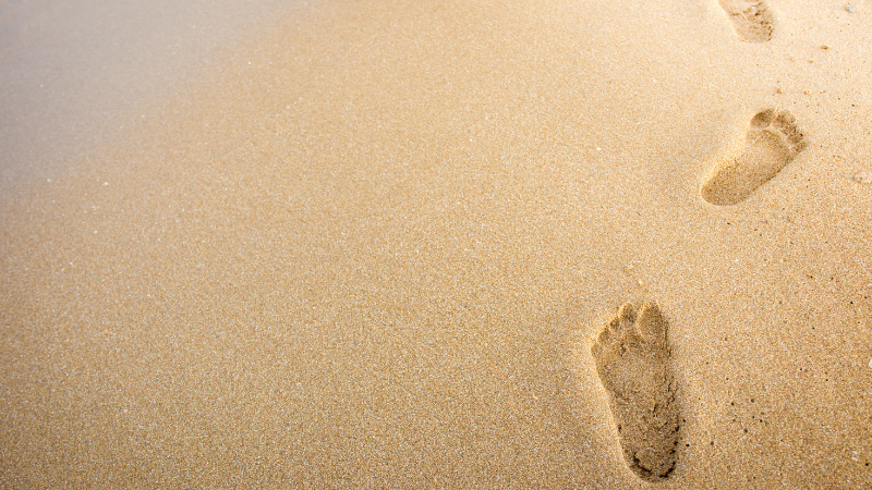 Steps to File Ind AS Financial Statements in XBRL Format