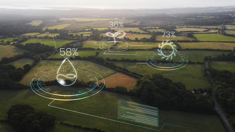 Streamlined ESG Reporting Workflow for Regulatory Compliance