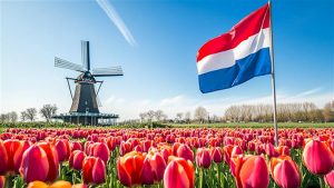 Understanding KVK Reporting in the Netherlands: A Complete Guide for Businesses