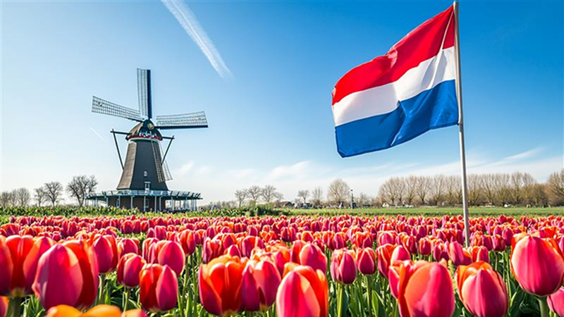 Understanding KVK Reporting in the Netherlands A Complete Guide for Businesses