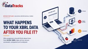 What Happens After Your ACRA XBRL Filing?
